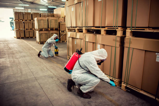 Best Termite Control Services  in Woodlawn, MD