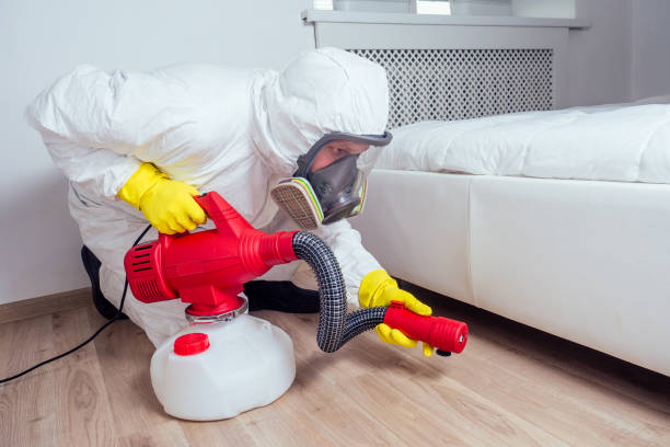 Professional Pest Control in Woodlawn, MD