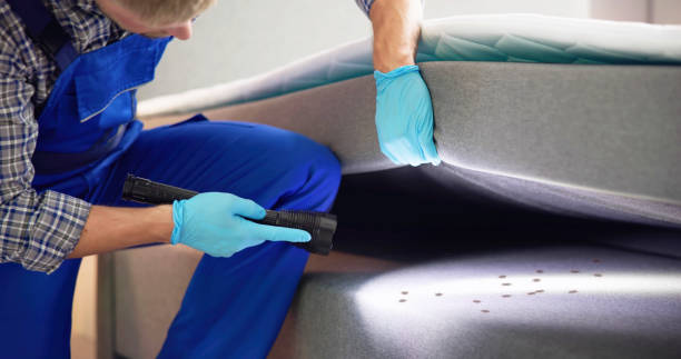 Best Termite Control Services  in Woodlawn, MD