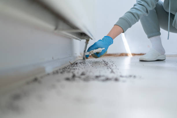 Best Affordable Pest Control Services  in Woodlawn, MD
