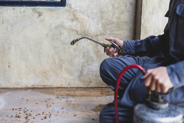 Best Best Pest Control Companies  in Woodlawn, MD